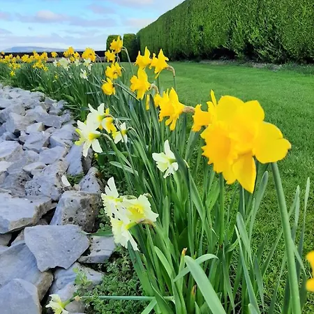 Haven Bed & Breakfast