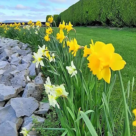 Haven Bunratty