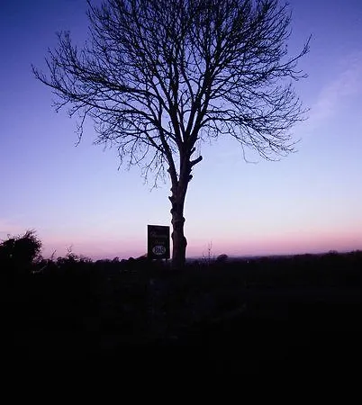 Bed & Breakfast Haven Bunratty