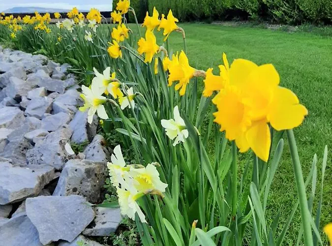 Haven Alojamento de Acomodação e Pequeno-almoço