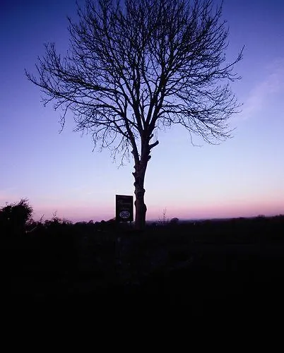 Alojamento de Acomodação e Pequeno-almoço Haven Bunratty